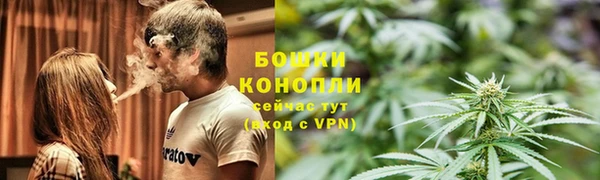 стафф Ижевск