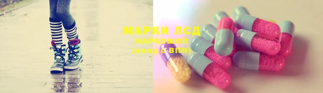 гашик Пенза