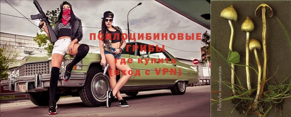 соль курить ск Михайлов