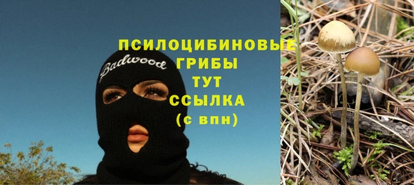 ALPHA-PVP Медвежьегорск