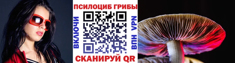 Галлюциногенные грибы Psilocybe  Козельск 